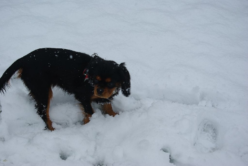 Jade découvre la neige !