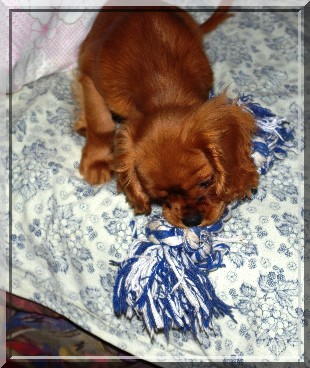 Fossette 3 mois